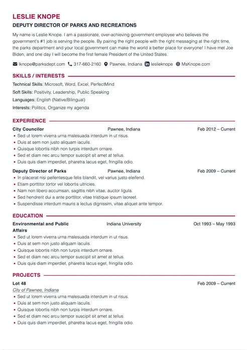 CV example