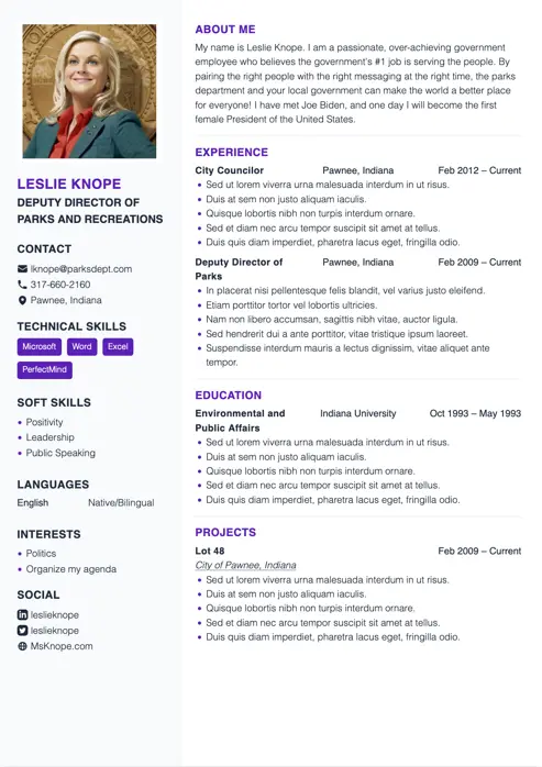 CV example
